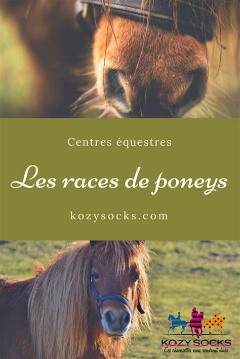 *Les races de poneys les plus courantes ! .